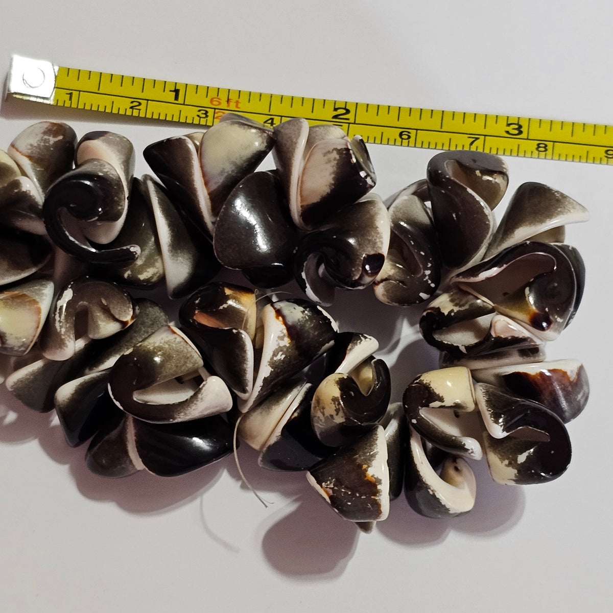 Natural Shell Stretch Bracelet Beachy Coastal Bohemian